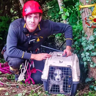 Precipita in un dirupo di 40 metri: cucciolo in salvo grazie ai pompieri Precipita in un dirupo di 40 metri: cucciolo in salvo grazie ai pompieri