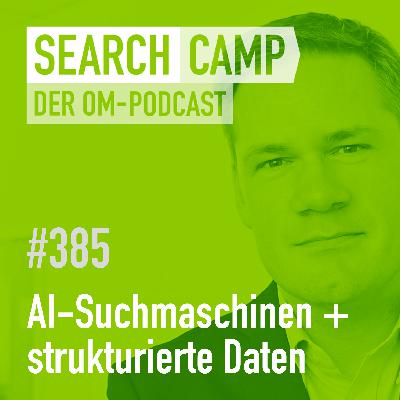AI-Suchmaschinen: Helfen strukturierte Daten wirklich? [Search Camp 385]