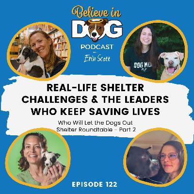 Real-Life Shelter Challenges & the Leaders Who Keep Saving Lives: WWLTDO Shelter Roundtable Part 2