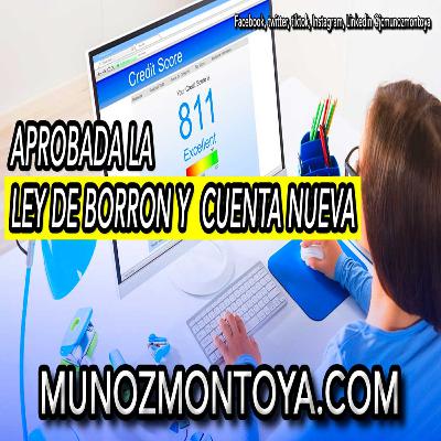 ¿Cómo funcionará el régimen de transición de la nueva ley de borrón y cuenta nueva?