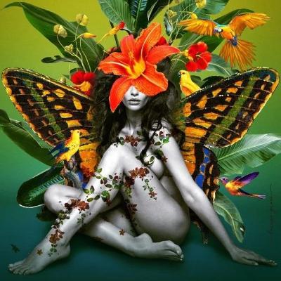 Day 15/15 #revolution