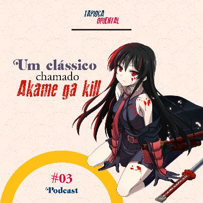 03 - Um clássico chamado Akame ga Kill