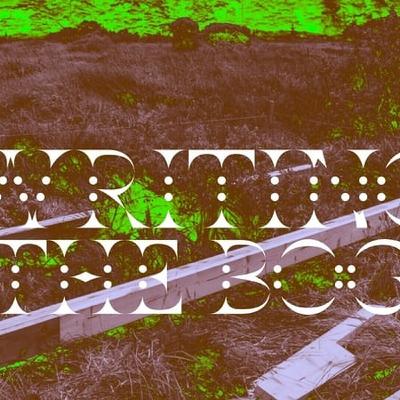 Writing the Bog, Part 1