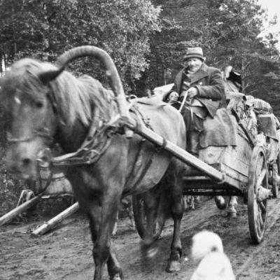 3. Evakkomatka hevoskyydillä
