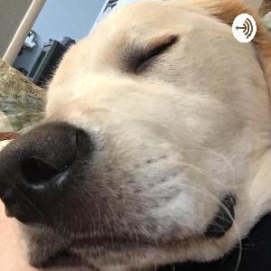 Trying to figure it all out.