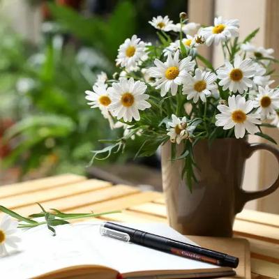 “Cánh cửa họa mi”: Tình yêu thầm lặng mà chung thủy