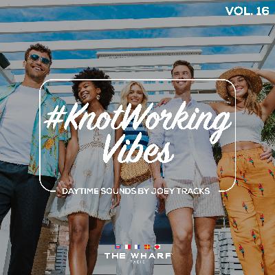 #KnotWorking Vibes, Vol. 16 - Daytime Mix