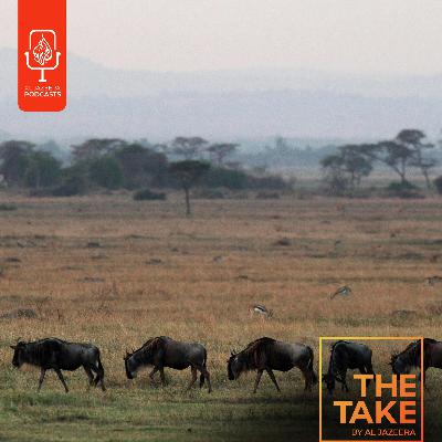 Another Take: In Tanzania, the Maasai may lose their land – again