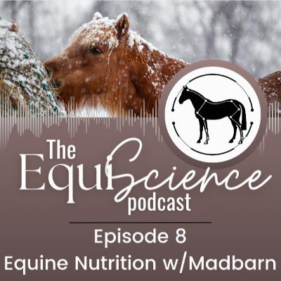 #8 - Equine Nutrition PART 1: Understanding your horse's nutritional needs W/ Madbarn
