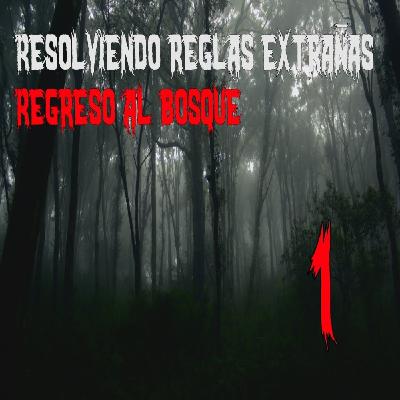 Trabajo Resolviendo Reglas Extrañas - Regreso al Bosque - Parte 1