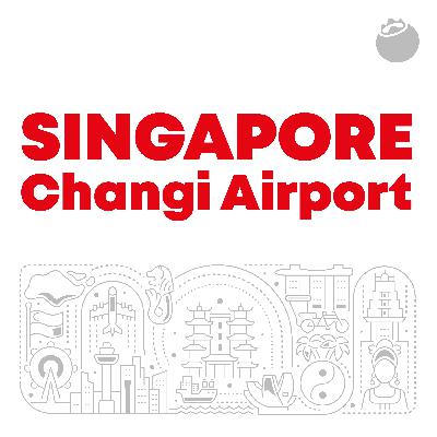 031 新加坡樟宜机场:当机场成为旅行的一部分 031 新加坡樟宜机场:当机场成为旅行的一部分