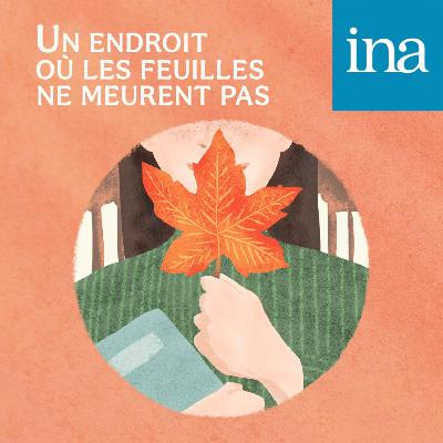 Un endroit où les feuilles ne meurent pas Un endroit où les feuilles ne meurent pas