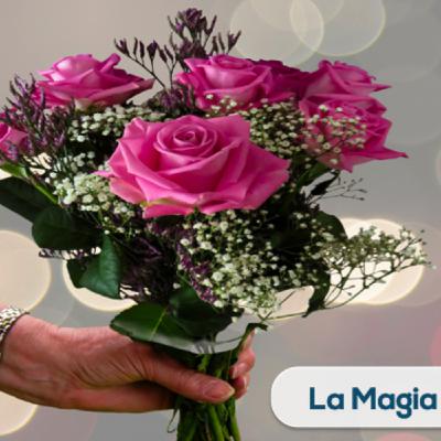 Aplica esta herramienta para atraer dinero a tu vida Aplica esta herramienta para atraer dinero a tu vida