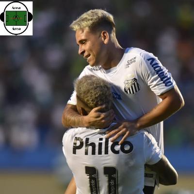 India flight disruptions: Indigo airline accused of mismanagement