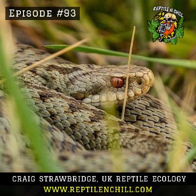 Craig Strawbridge, UK Reptile Ecology - 93 Reptile n Chill Craig Strawbridge, UK Reptile Ecology - 93 Reptile n Chill