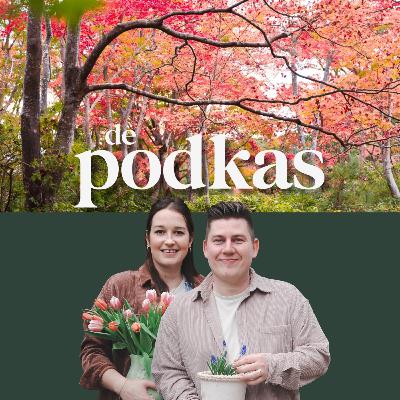 De ideale boom voor je tuin | Bomen doen een dutje | Overwinterende lieveheersbeestjes - De Podkas #S3E6