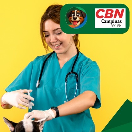 Presença das mulheres na medicina veterinária!