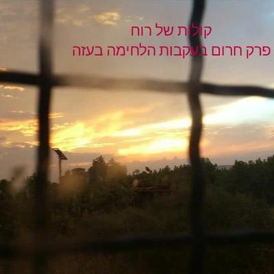 פרק חרום בעקבות הלחימה בעזה