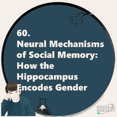 60. Neural Mechanisms of Social Memory: How the Hippocampus Encodes Gender
