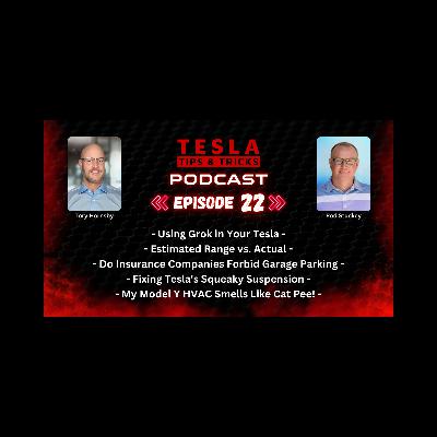 My Tesla Smells Like Cat Pee, Using Grok, Squeaky Suspensions & More - Tesla Tips Podcast E22