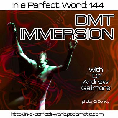 144: DMT IMMERSION
