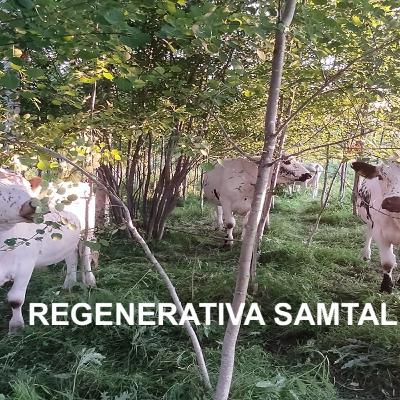 Avsnitt 16 - poddens holistiska kontext med Magnus och Tina