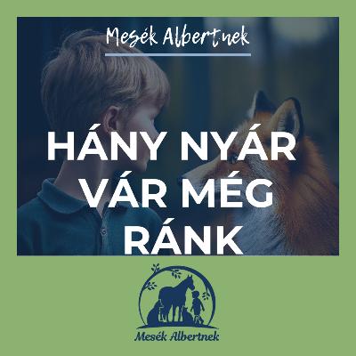 Hány nyár még ránk Hány nyár még ránk