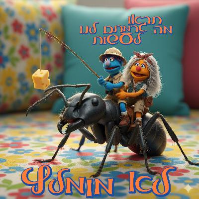 63 - לא מומלץ 63 - לא מומלץ