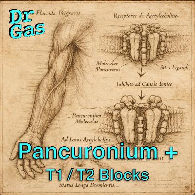 Pancuronium and NMJ block terminology