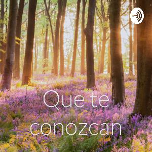 20 - 25 El Espíritu Santo tiene una personalidad y es una persona 20 - 25 El Espíritu Santo tiene una personalidad y es una persona