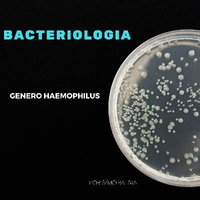 BACTERIOLOGIA - GÊNERO HAEMOPHILUS