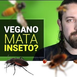 Vegano mata inseto? episode artwork