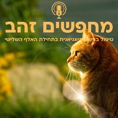 פרק 4: החתול שבדלת (או: מבוא לעבודת החלום בטיפול היונגיאני)