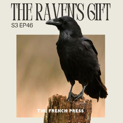 46 The Raven's Gift