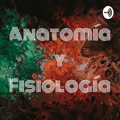 Sistema Cardiovascular