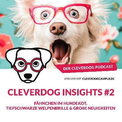 Cleverdog Insights #2 – Fähnchen im Hundekot, tiefschwarze Welpenbrille & große Neuigkeiten