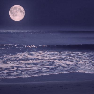 Grasping the Serenity of Beach With Music