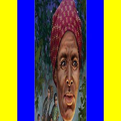 (DOWNLOADPDF} Who Was Harriet Tubman [read ebook]