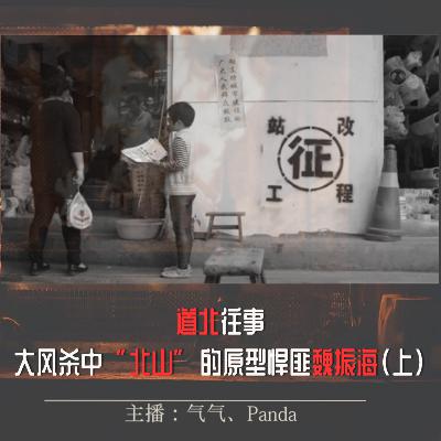 EP10.道北往事:《大风杀》中的“北山”原型-悍匪魏振海（上）