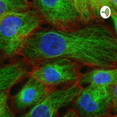 The Structure And Structure Of Cell Organelles