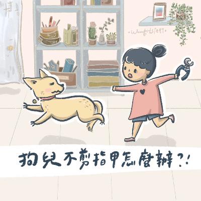 狗兒不剪指甲怎麼辦？|訓練師LUCY-關於狗兒的十萬個為什麼|