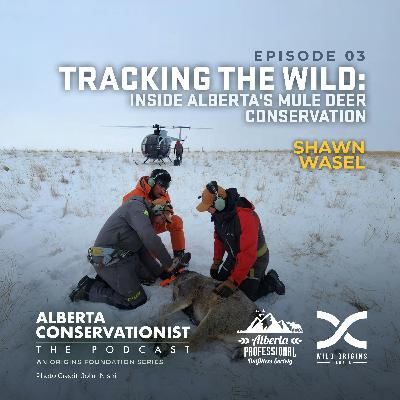 Tracking The Wild: Inside Alberta's Mule Deer Conservation || Ep. 3