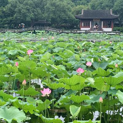 不能总为之后的事忧烦
