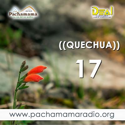 17 EL ZORRO Y EL CORDERO ((QUECHUA))