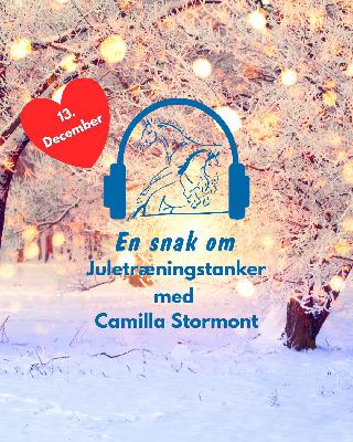 13. Decembers Juletræningstanker med ejer af Adfærdscenter Camilla Stormont