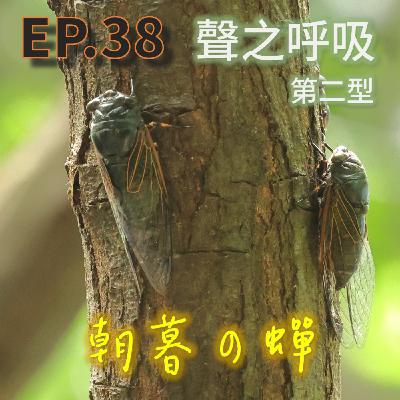 EP38_聲之呼吸_第二型_朝暮の蟬 EP38_聲之呼吸_第二型_朝暮の蟬