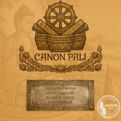 Canon Pali 14/40 | Sutta Piṭaka | Saṃyutta Nikāya | Mahāvaggapāḷi Canon Pali 14/40 | Sutta Piṭaka | Saṃyutta Nikāya | Mahāvaggapāḷi