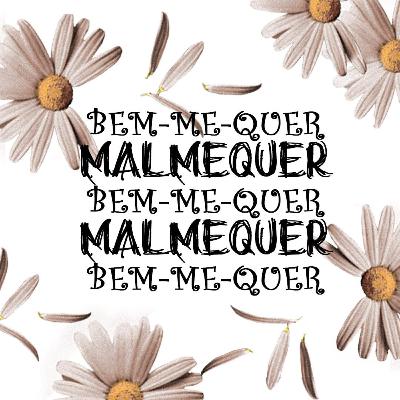Bem-me-quer... Malmequer? Bem-me-quer... Malmequer?