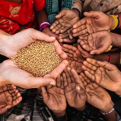 Plan orquestado para generar escasez de alimentos