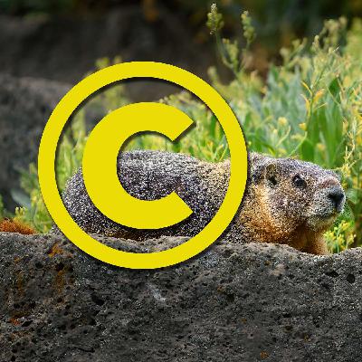 Copyright Your Photographs